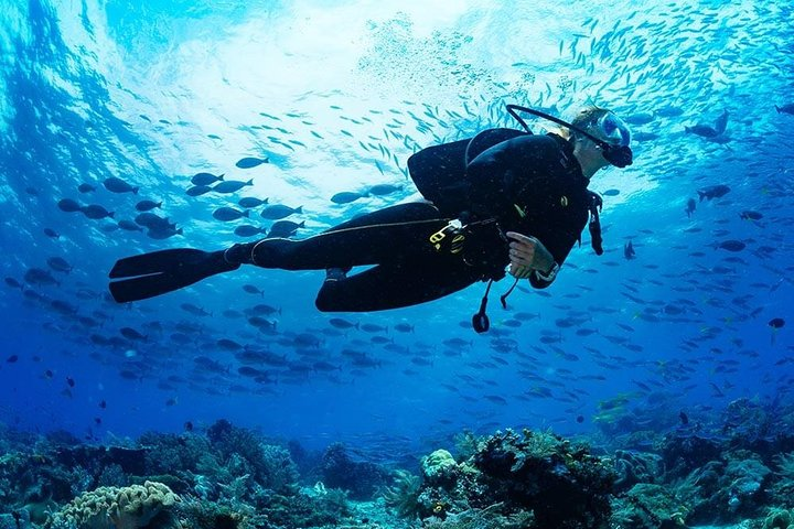 Scuba Diving in Hikkaduwa - Photo 1 of 6